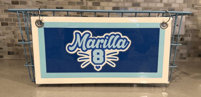 Custom vinyl lettering and detail work